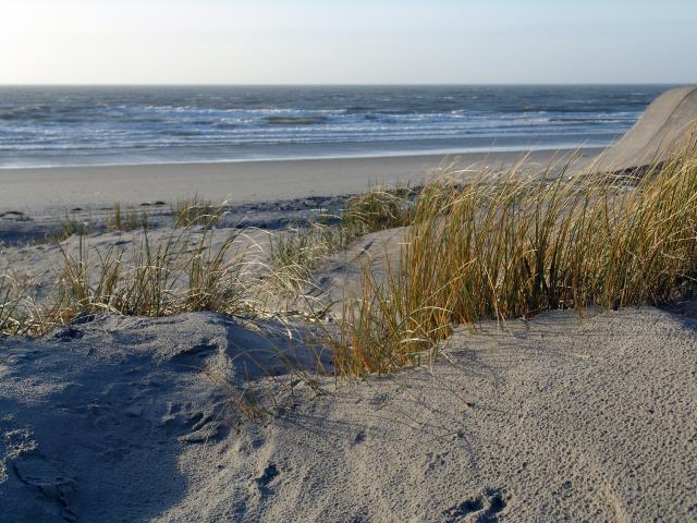 Borkum Ruhm